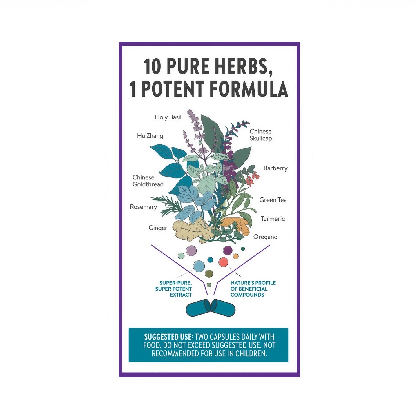 New Chapter Zyflamend Joint Supplement Herbal Pain Relief 180 Capsules