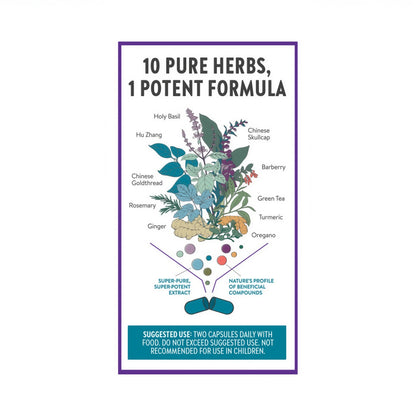 New Chapter Zyflamend Joint Supplement Herbal Pain Relief 180 Capsules